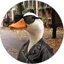 Stinky Duck
