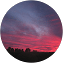 shelly saunders